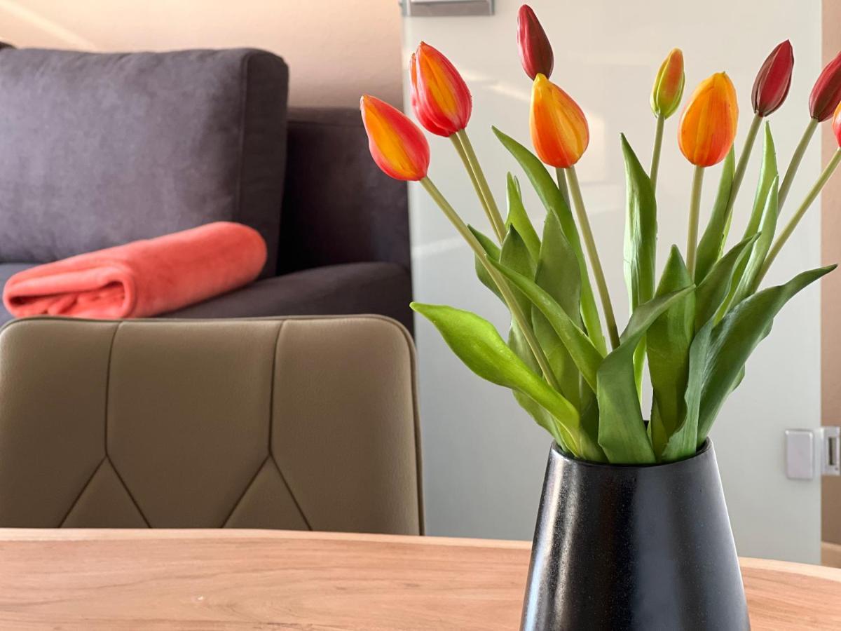 Seehaus Aachblick, Exklusive Appartements Und Ferienwohnungen 乌尔丁根-米尔霍芬 外观 照片